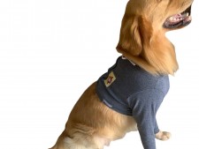 Protetores P/ Membros Anteriores N.0  Protetores P/ Membros Anteriores N.0